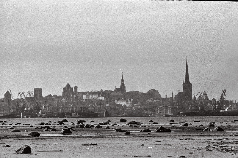 Tallinna panoraam (võetud Piritalt) ja valge reisijate laev saabub Tallinna.