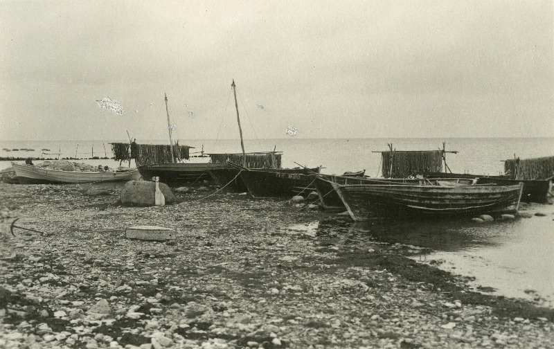 Kalasadam Vahtraste küla all.