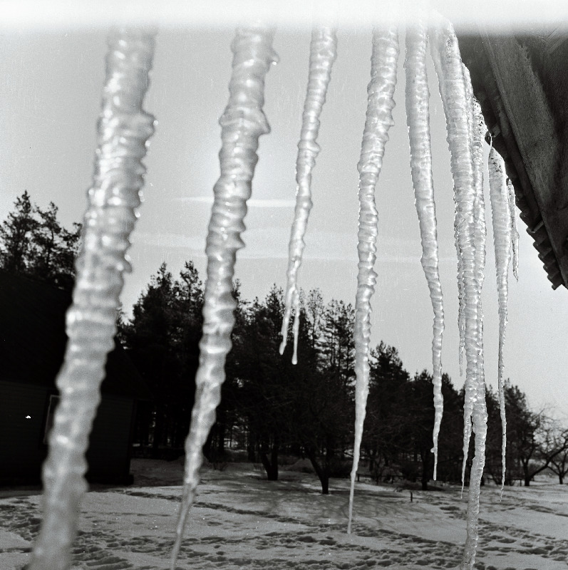 Jääpurikad katuseräästas.