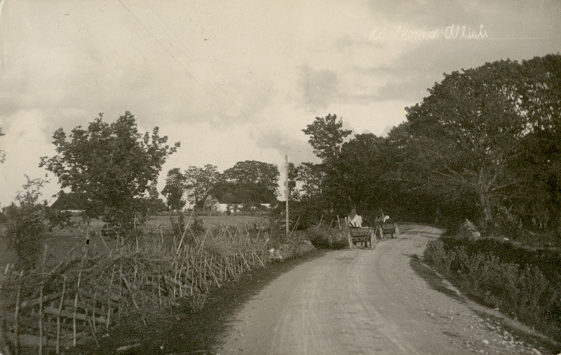 Kihelkonna puu-ja kiviaedadega maanteele, taga Kihelkonna Mihkli kiriku köster Krapsi Alliste talu.