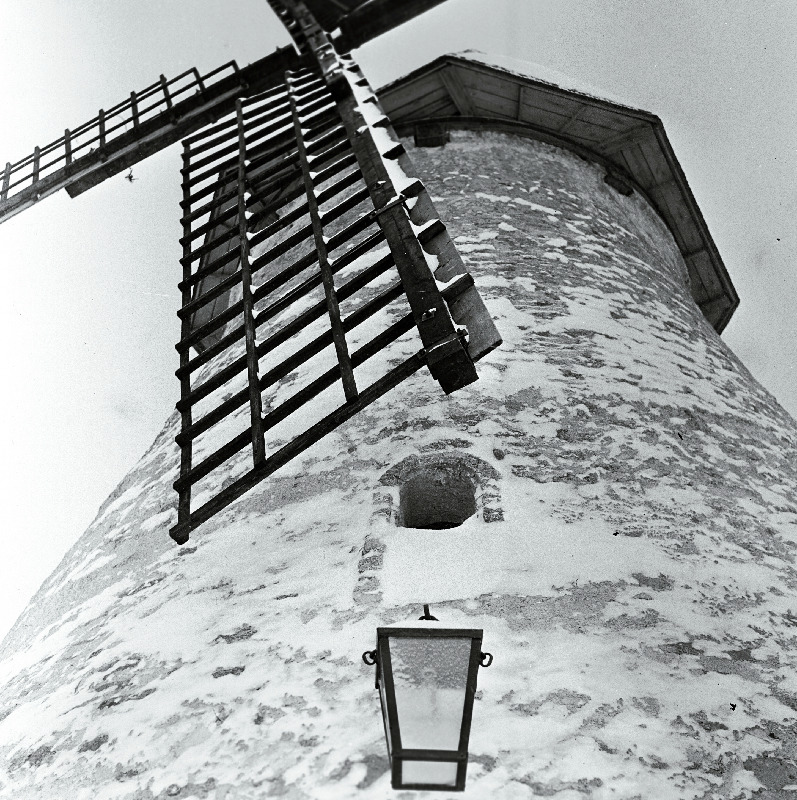 Muuga tuuleveski-kohvik.