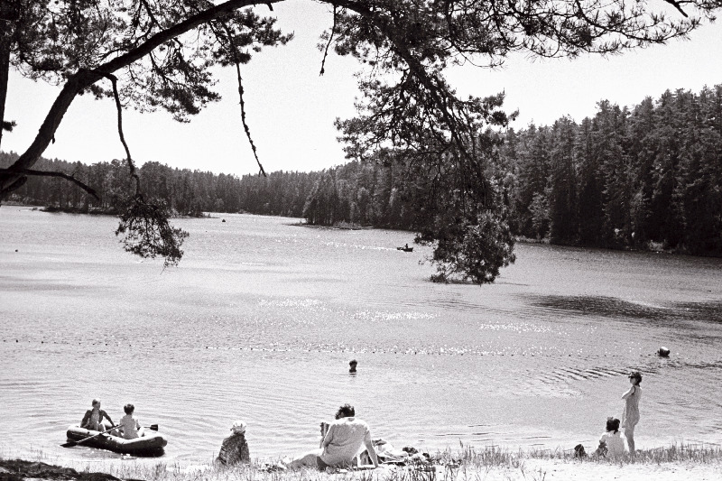 Vaade Viitna järvele.