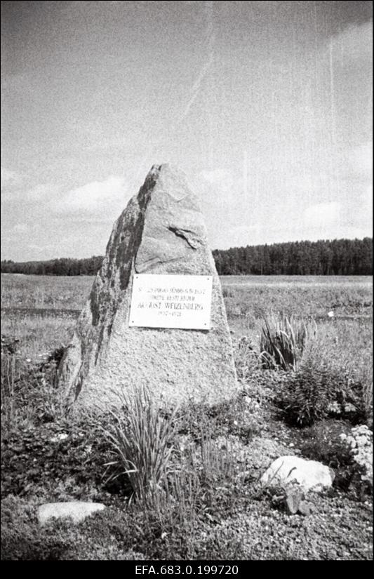 Mälestuskivi kujur August Weizenbergi sünnimaja asukohas Kanepis.