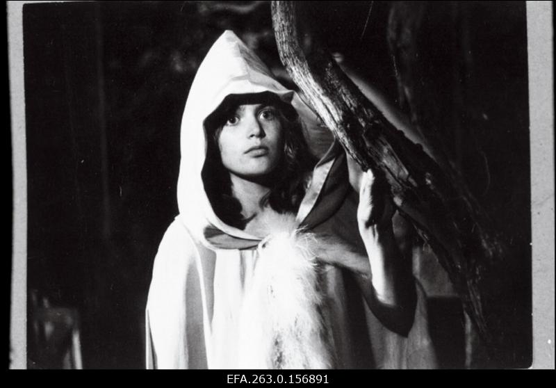 G. Otsa nim. Muusikakeskkooli esimese kursuse õpilane Katri Horma Eliise osas stuudio “Tallinnfilm” mängufilmis “Metsluiged”.