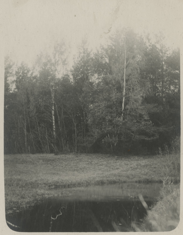 Vaade väiksele tiigile ja metsale, fotopostkaart