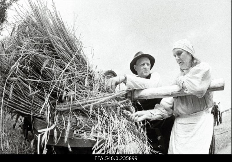 Lõikuspüha. Mees ja naine põllutöömasina juures.