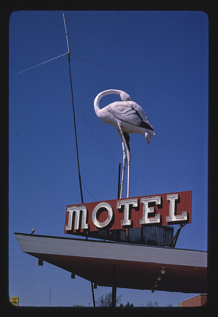 Flamingo Motel sign, Route 30, Marshalltown, Iowa (LOC)