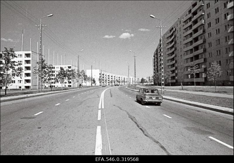 Tallinna vaated. Pikk Herman.