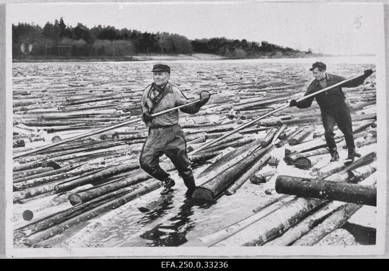 Pärnu Metsatööstuskeskuse parvetustöölised (vasakult) Andres Ahonen ja Oliver Roots Pärnu jõel parvetustöödel.