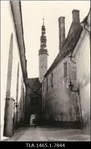 Börsi käik poisiga