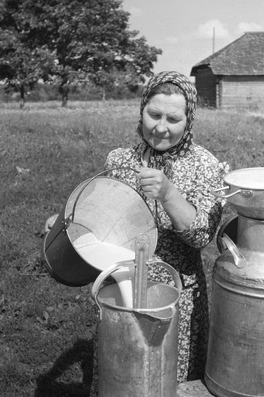 Põhjala kolhoosi lüpsja Hermina Oja.