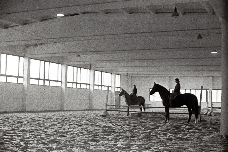 Spordiühingu "Jõud" Niitvälja ratsaspordibaasi maneež.