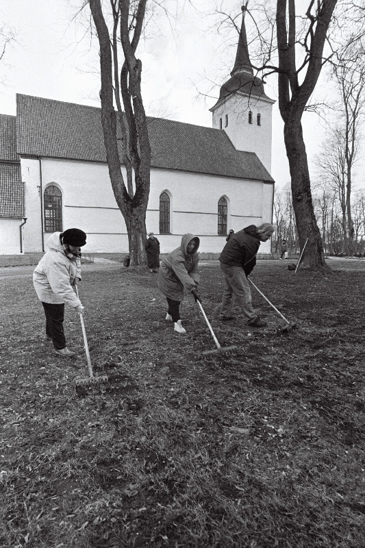 Koristuslaupäevak Viljandis.