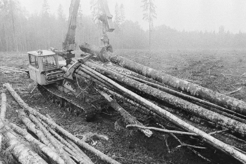 Türi Metsakombinaadi metsa kokkuveo traktor