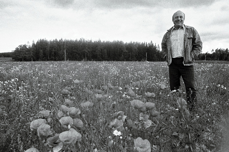 Moonipõld Rala lähistel.