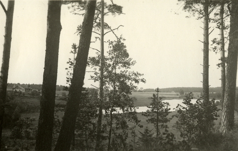 Vaade Mustjärvele. Holstre vald.