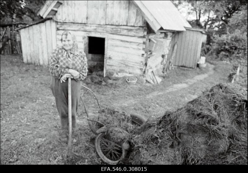 Ääsmäe [sovhoos]. [Berg], Saaremaa.