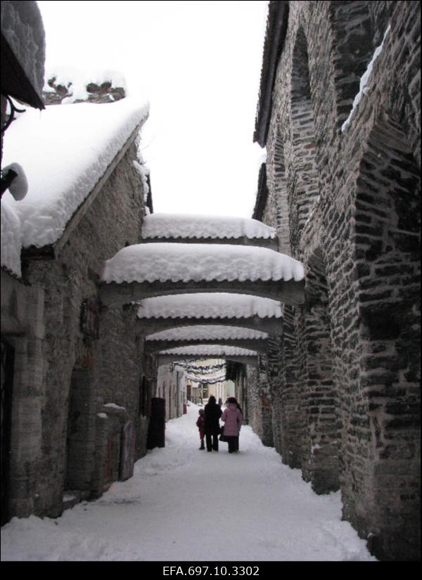 Talvine Katariina käik.