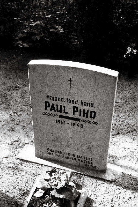 Majandusteadlase Paul Piho hauakivi Pindi kalmistul.