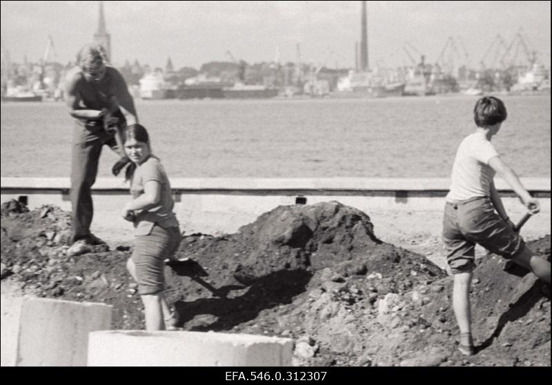 Tallinna vaated, "Tallinn korda"
