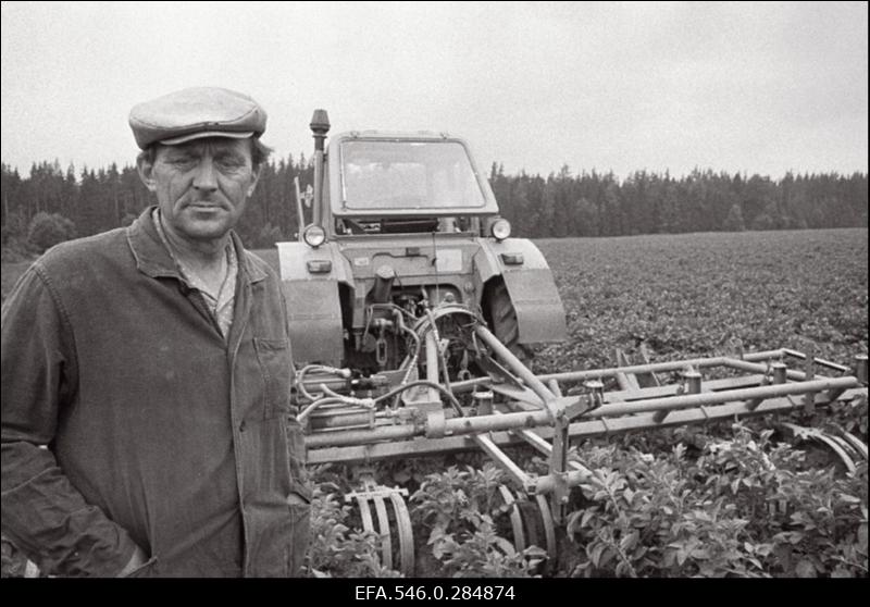 Sügistööd Kingissepa-nimelises kolhoosis