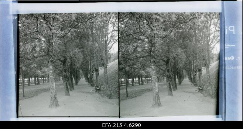 Vaade Narva Pimeaeda.