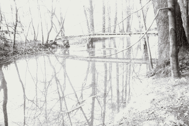 Löwenruh park.