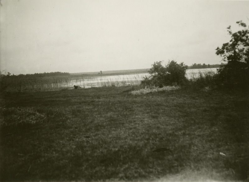 Vaade idast Järveküla järvele.