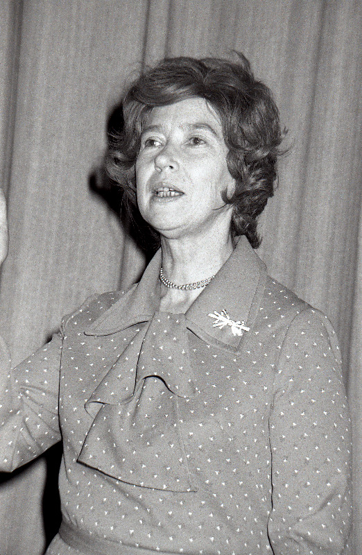 Kirjanik Lilli Promet.