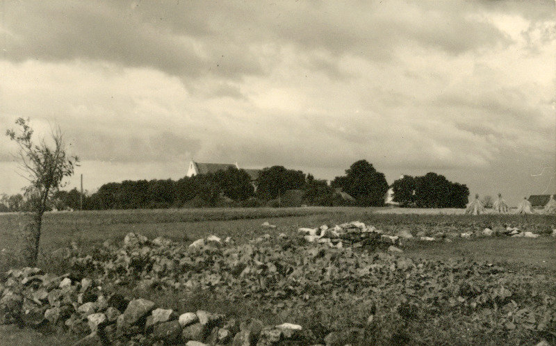 Vaade üle põllu Karja asundusele ja  Katariina kirikule.