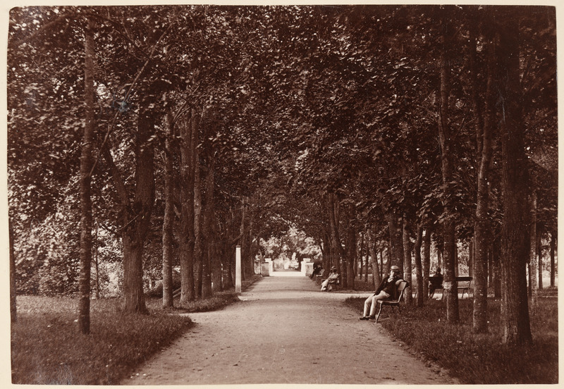 Inglisillale viiv allee Toomemäel