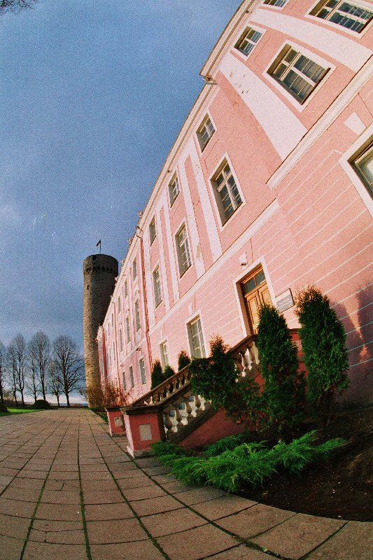 Toompea. Pikk Hermann.