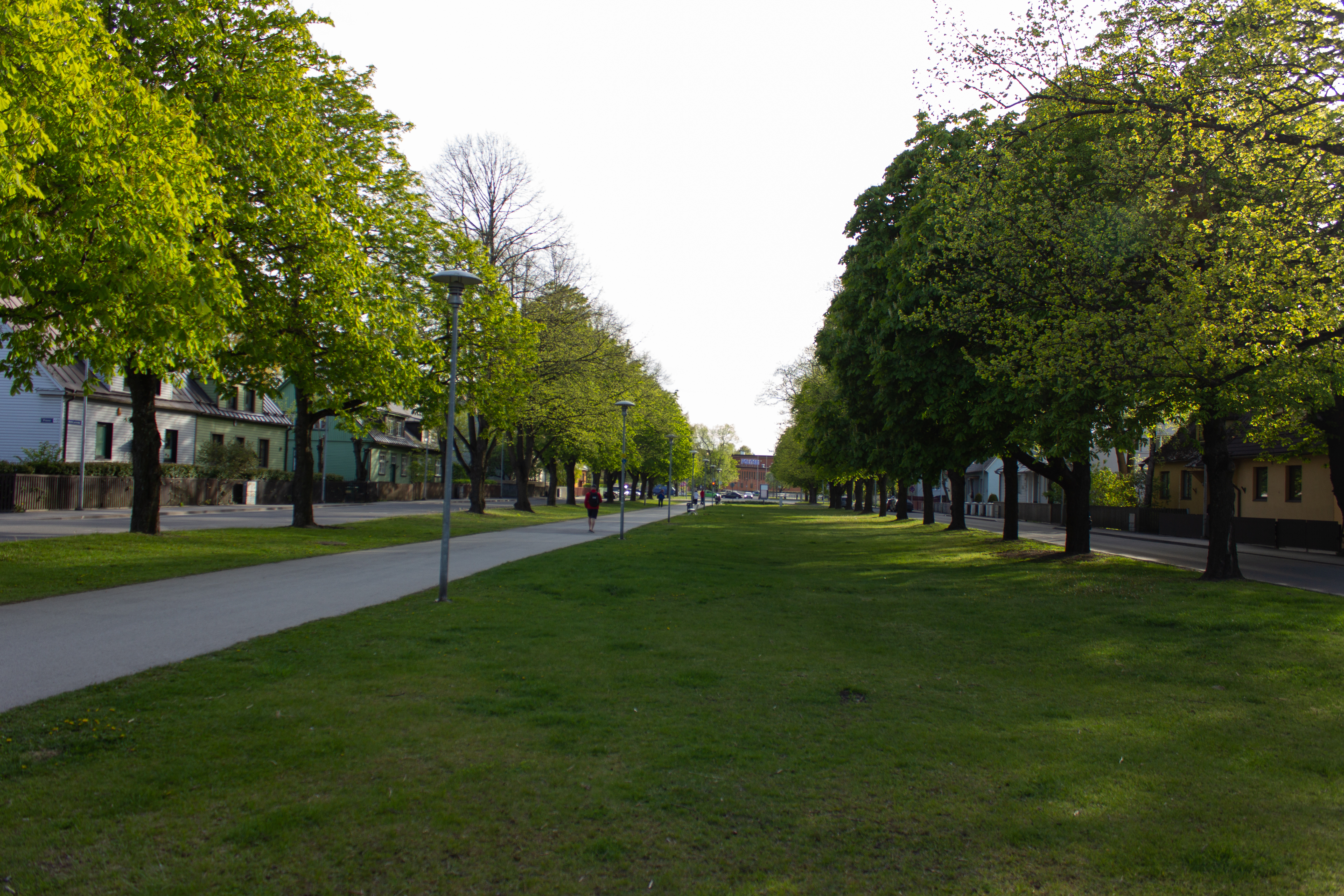 Kolde Boulevard, Tallinn (2020-05-23) - Kolde puiestee, Pelgulinn, Tallinn (23.05.2020)