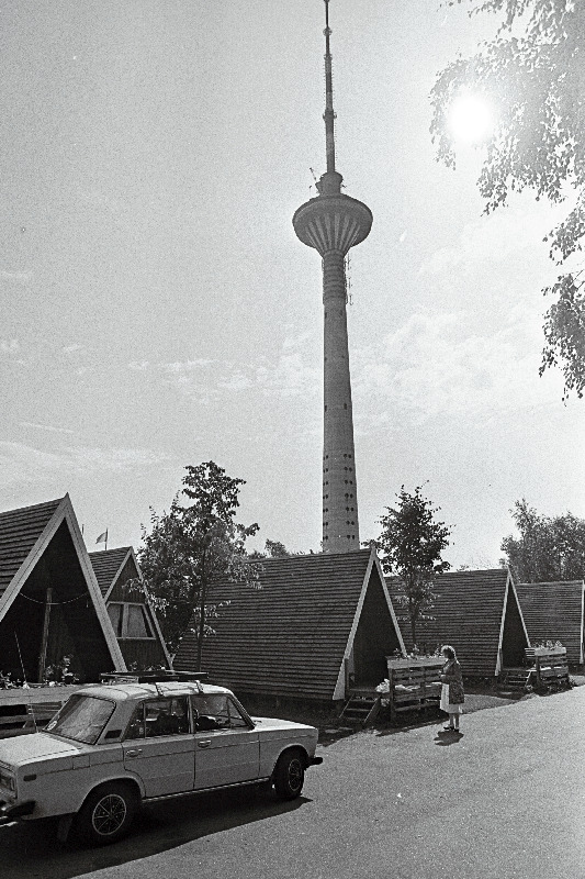 Vaade kämpingule Kloostrimetsas. Tagaplaanil teletorn