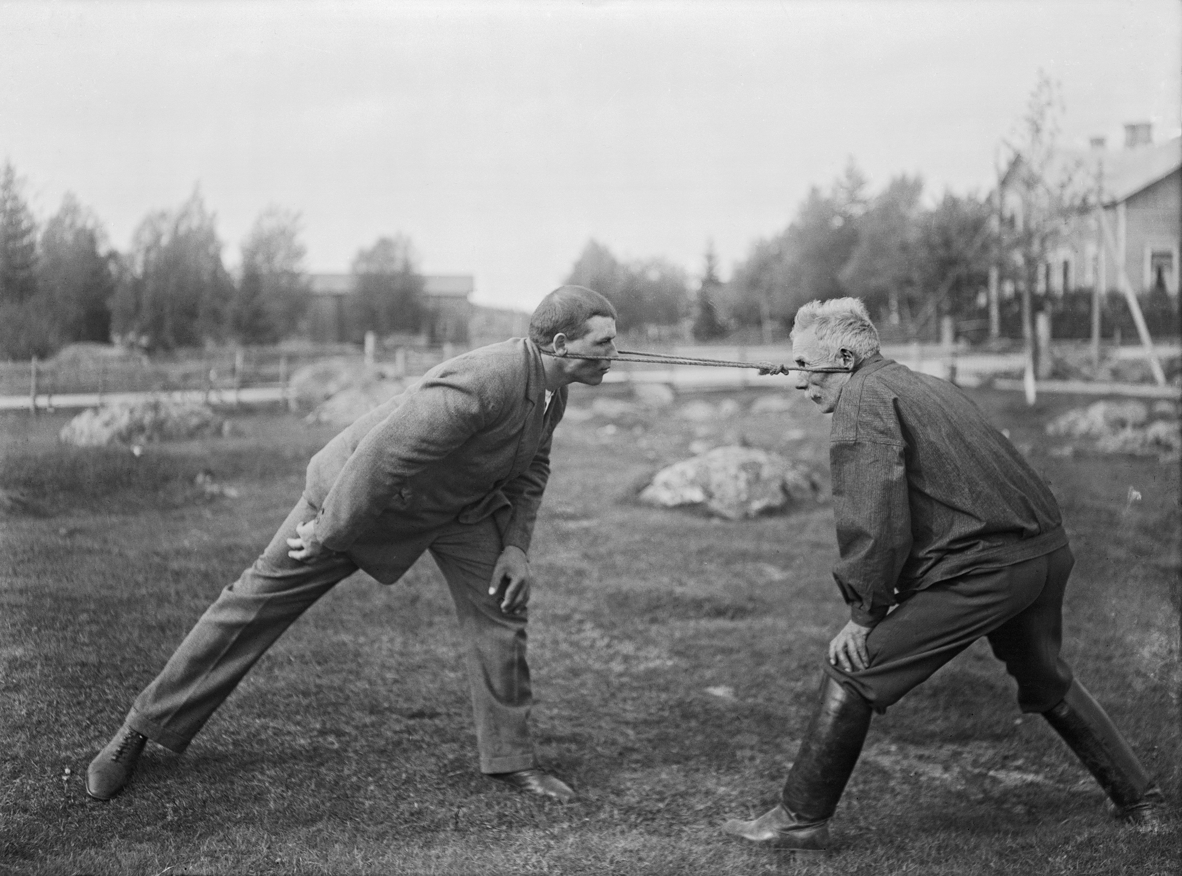 SLS 403_4 Dra styvnacke‎ (1931)