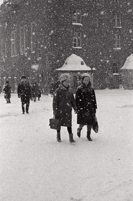 Tiheda lumesajuga Tallinna tänavail.