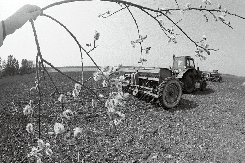 Kevadkülv Harju rajooni Ranna sovhoosis.