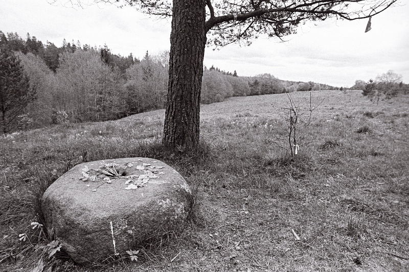 Taaralaste kokkutulek Viru-Nigula lähistel Masa hiies. Ohvrikivi lilled.