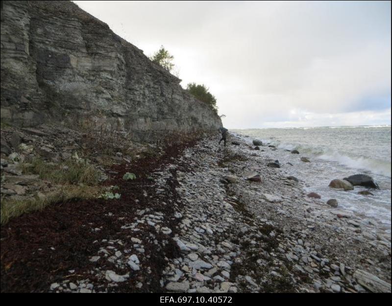 Suuriku pank. Vaade pangajärsakule.