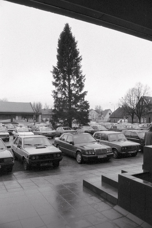 Jõulukuusk Vabaduse platsil.
