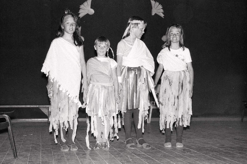 Valgemetsa pioneerilaager