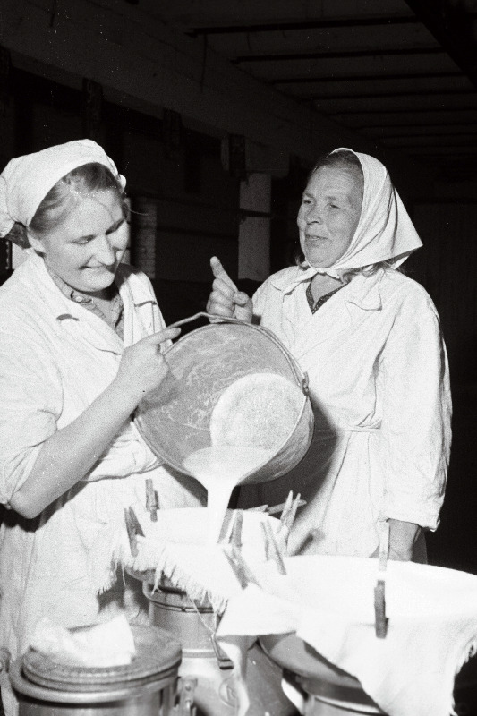 Väike-Maarja rajooni Pälsoni nimelise sovhoosi lüpsjad-karjatalitajad Õie Lainevool ja Marie Poom.