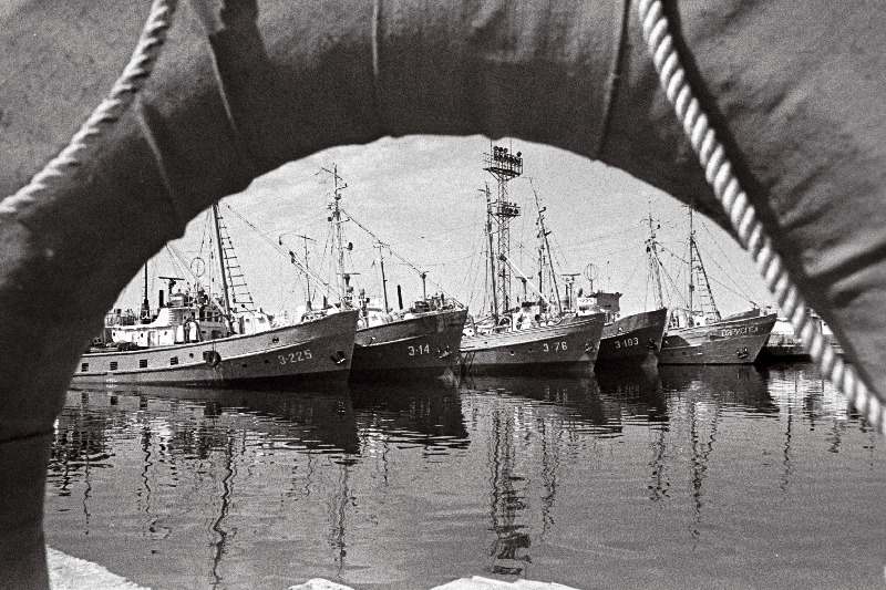 Harju rajooni S. M. Kirovi nimelise kalurikolhoosi kalasadam.