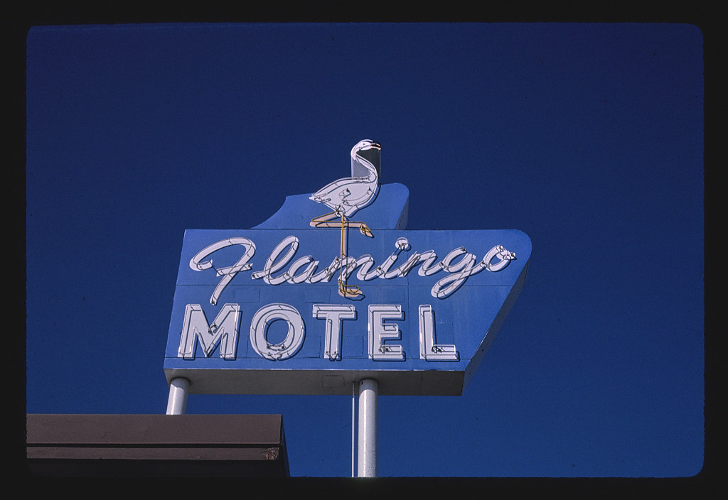 Flamingo Motel sign, Route 24, State Avenue, Kansas City, Kansas (LOC)