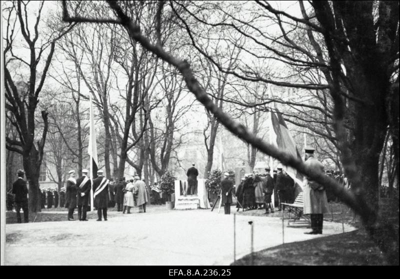 Vabadussõjas langenud Soome vabatahtlike mälestussamba avamine.