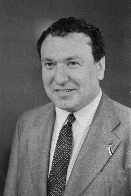 Helme, Rein - ajaloolane.