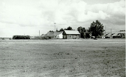 Weeds, pigs and farms