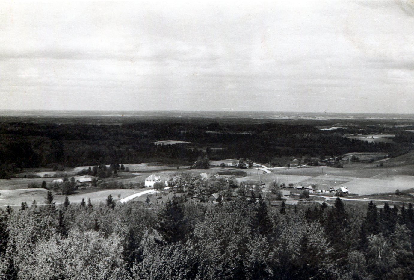 View of the Munamäe Tower