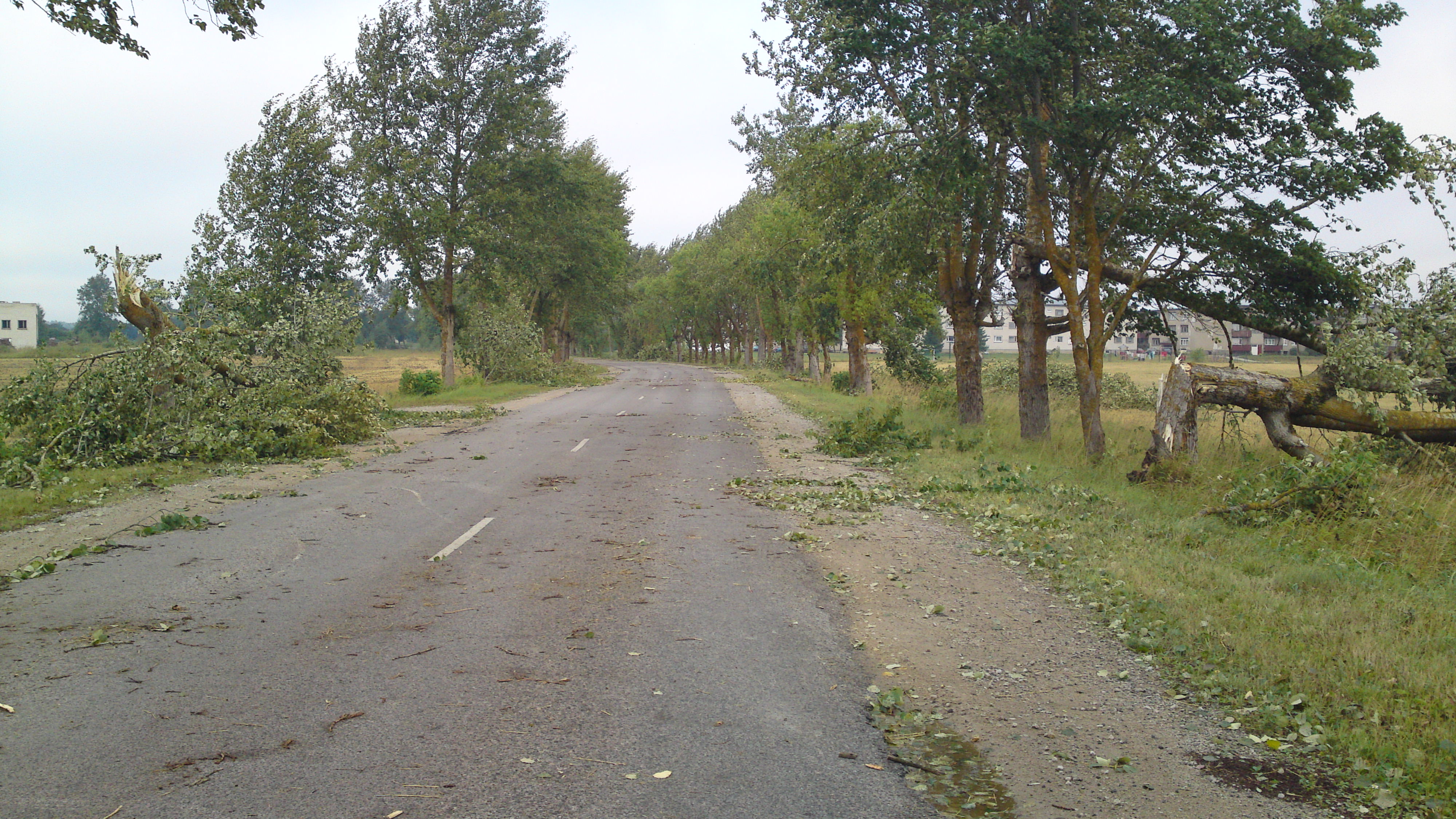 Storm Lepnal (Rakvere vald)