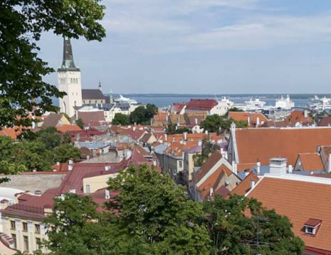 Tallinna vaade. Mees poseerib vaateplatvormil rephoto